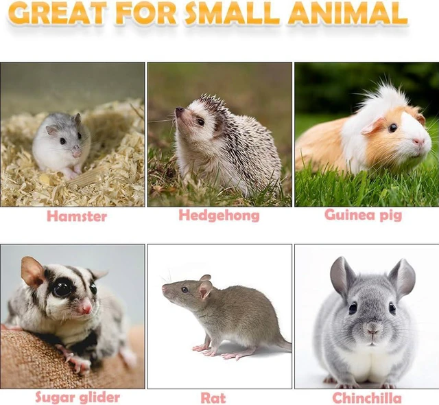 Alt view image 6 of 7 - 2 Pack Hamster Bowl Ceramic Food and Water Dish Cute Feeder for Hamster Hedgehog Squirrel Guinea Pig Small Animals (Yellow and Red