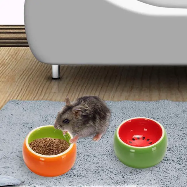 Alt view image 6 of 7 - Hamiledyi 2PCS Hamster Bowl Ceramic Food Water Feeding Dish for Dwarf Syrian Hamsters Gerbils Rats Mice Sugar Glider
