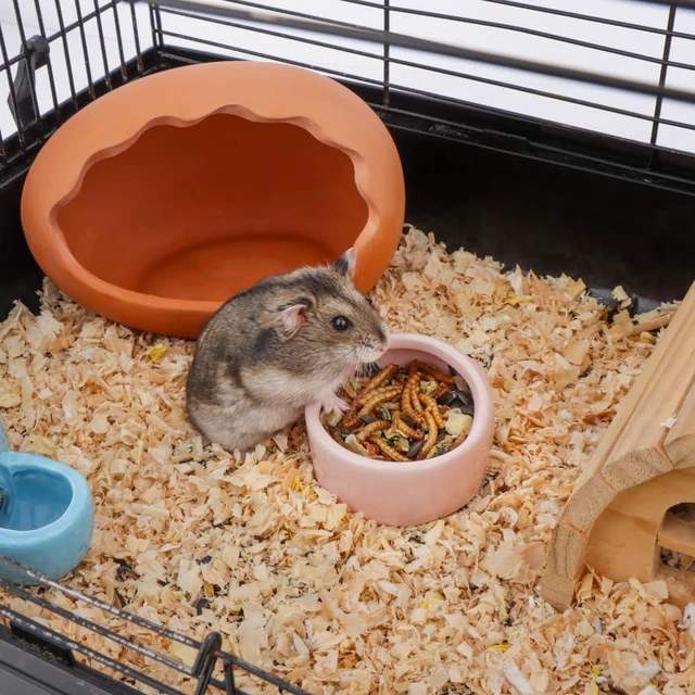 Alt view image 2 of 6 - 2 Pcs Ceramic Hamster Bowl, Small Animal Food Bowl and Water Dish Feeder for Hedgehog Hamster Guinea Pig Sugar Glider Rat Gerbil Mice Chinchilla (Colors May Vary)