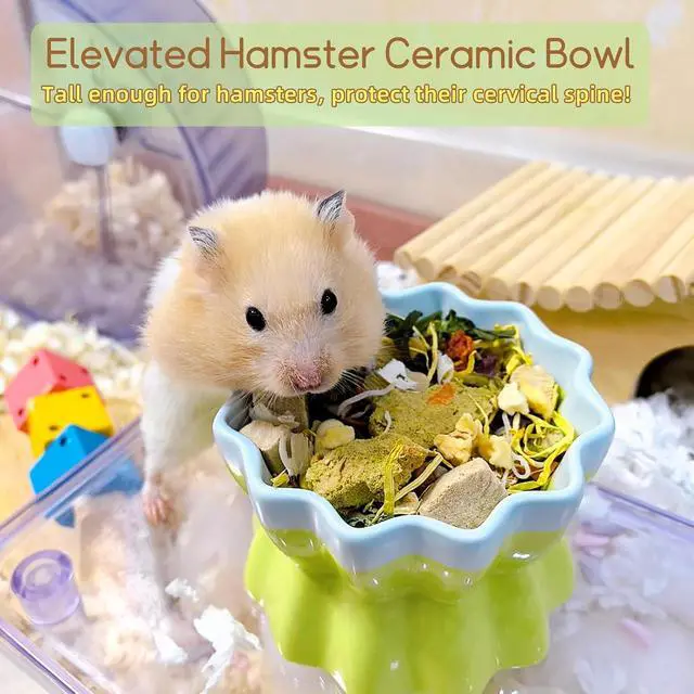 Alt view image 3 of 7 - Ceramic Hamster Food Bowl Elevated Hamster Bowl Non-Tip Rat Feeding Dish with Water Bottle for Dwarf Gerbil Mouse Mice Sugar Glider (Green)