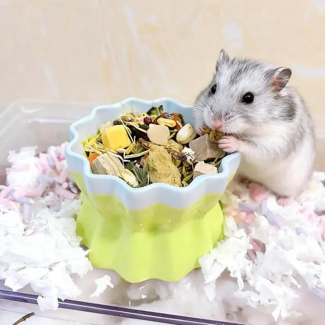 Alt view image 4 of 7 - Ceramic Hamster Food Bowl Elevated Hamster Bowl Non-Tip Rat Feeding Dish with Water Bottle for Dwarf Gerbil Mouse Mice Sugar Glider (Green)