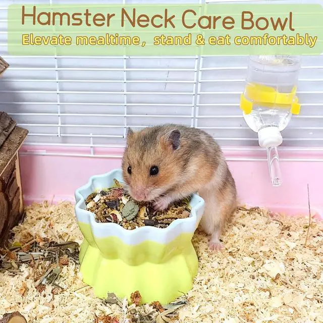 Alt view image 5 of 7 - Ceramic Hamster Food Bowl Elevated Hamster Bowl Non-Tip Rat Feeding Dish with Water Bottle for Dwarf Gerbil Mouse Mice Sugar Glider (Green)