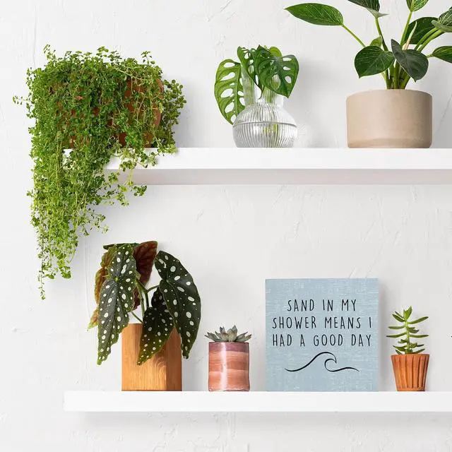 Alt view image 3 of 6 - Beach Wooden Sign,Coastal Bathroom Signs,Beach Theme Bathroom Decor,Sand in My Shower Means I Had a Great Day Wood Box Sign,Coastal Easter Decor for Home House Table Desk Shelf