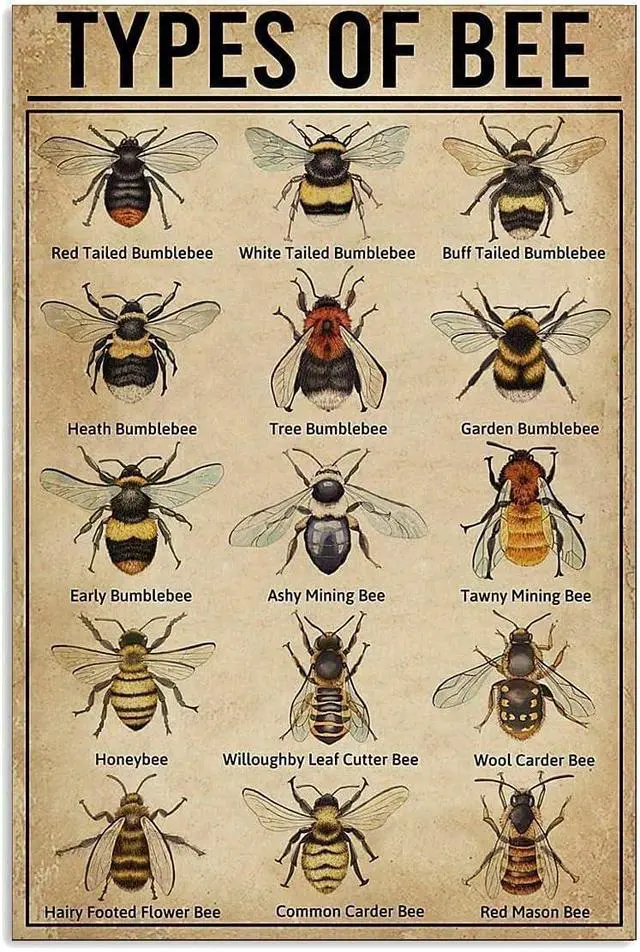 Main image of 15 Types of Bee Retro Garden Metal Tin Sign Kitchen Restaurant Farm Shopping Mall Bar Cafe Man Cave Farm Wall Decoration Iron Painting Metal Plate 8x12inch