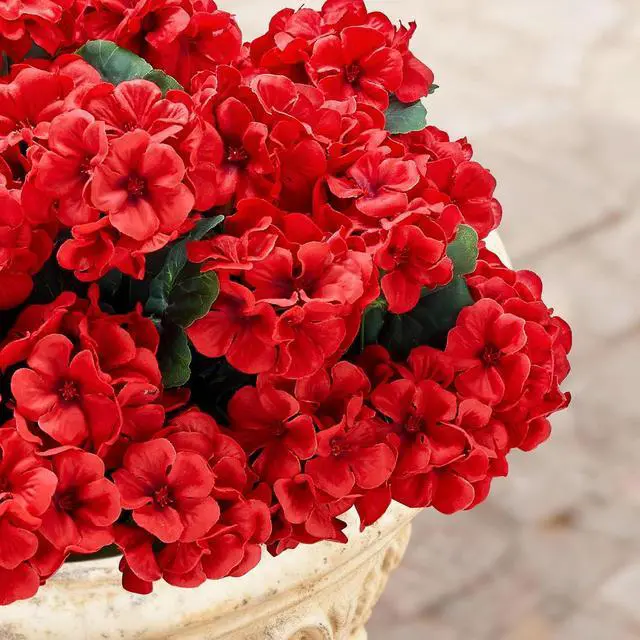 Alt view image 4 of 7 - Artificial Geranium Flowers for Outdoors: 6 PCS Realistic UV Resistant Faux Red Geranium Silk Flowers for Outdoor Planters Fade Proof Garden Fake Flowers Decor for Outside Porch - Red