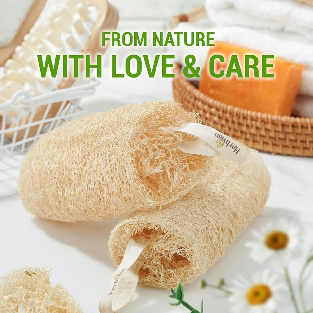 Alt view image 3 of 7 - Natural Vietnamese Loofah Sponge, 100% Plant-Based Luffa Exfoliating Body Scrubber for Shower, Multi-Functional for Kitchen, Ideal for Men & Women, Spa & for Pet (2pcs/Pack)