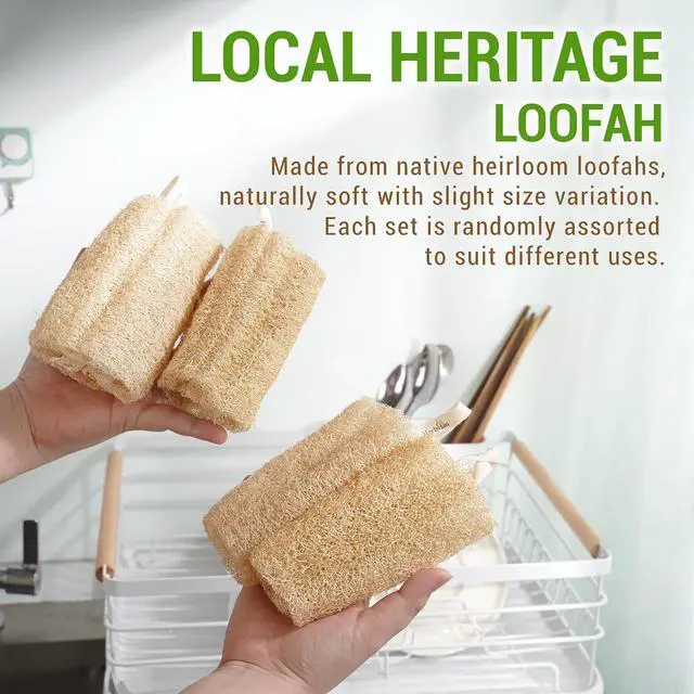 Alt view image 6 of 7 - Natural Vietnamese Loofah Sponge, 100% Plant-Based Luffa Exfoliating Body Scrubber for Shower, Multi-Functional for Kitchen, Ideal for Men & Women, Spa & for Pet (2pcs/Pack)
