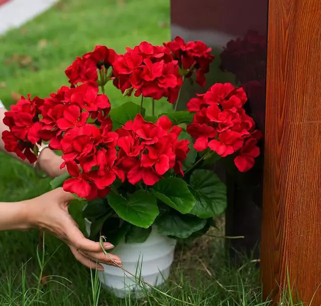 Alt view image 3 of 7 - 18'' Artificial Geraniums Realistic Silk Flowers for Outdoor