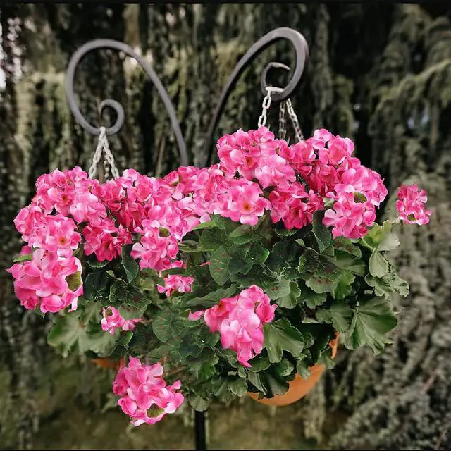 Alt view image 6 of 7 - CISDUEO 2 Pcs Artificial Geranium Flowers Outdoor Silk Flowers Outside Pink