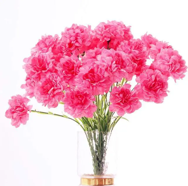 Main image of 20 inch Bouquets 10 Stem Rainbow Carnations,Outdoor UV Resistant No Fade Artificial Flower,Carnation Silk Petals Fake Flowers Forever Plants for Photo Props Home Party and Wedding Decor (Pink)