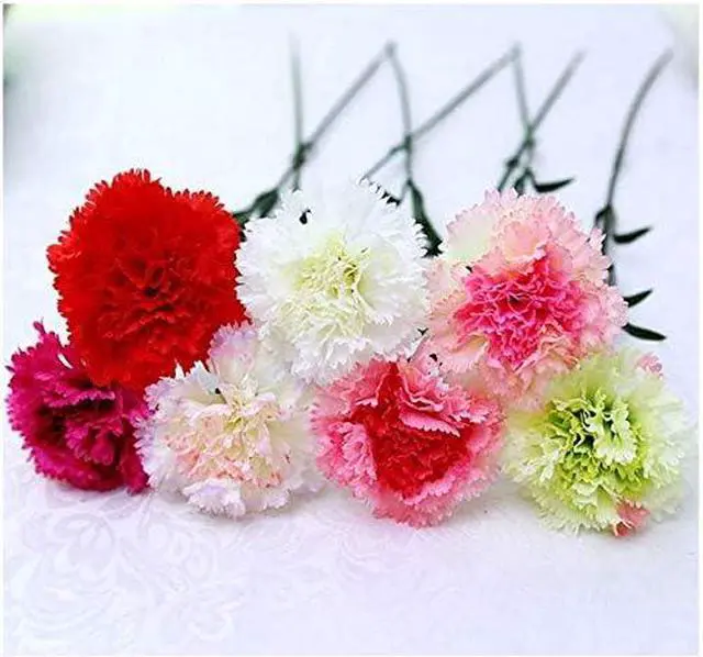 Alt view image 2 of 2 - 20 inch Bouquets 10 Stem Rainbow Carnations,Outdoor UV Resistant No Fade Artificial Flower,Carnation Silk Petals Fake Flowers Forever Plants for Photo Props Home Party and Wedding Decor (Pink)
