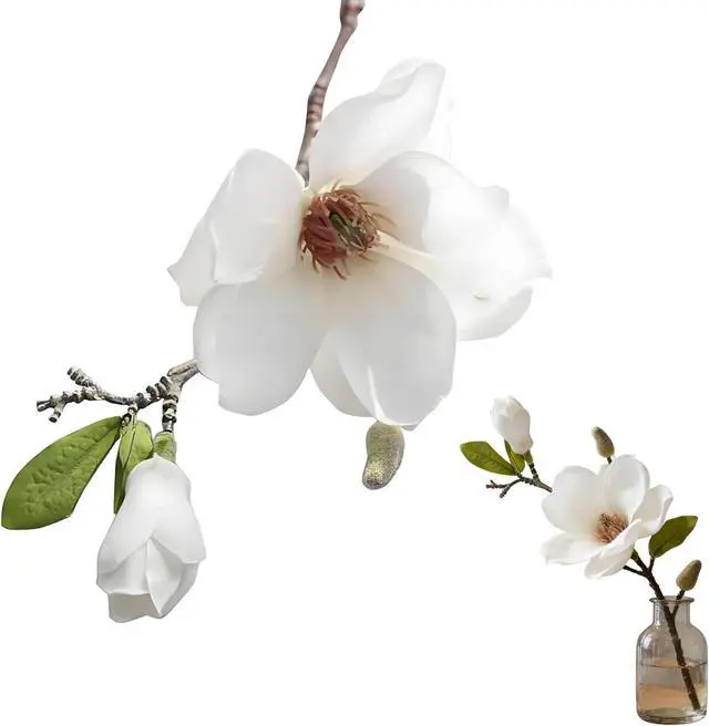 Main image of White Artificial Magnolia Silk Flower Artificial Flowers for Home, Wedding, Garden Decor, Single Stem for Vase, Table Arrangement