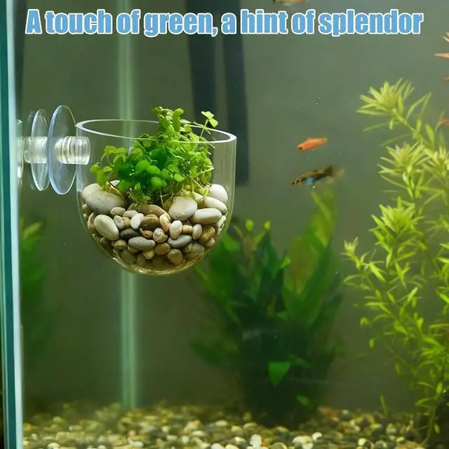Alt view image 2 of 7 - 3 Pack Clear Fish Tank Plant Holder Aquatic Plant Cups Fishes Tanks Plants Pot Acrylic Aquarium Plants Holder with Suction Cups for Home Aquariums Aquascape Decor, Red Worm Fish Shrimp Feeder