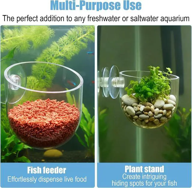 Alt view image 3 of 7 - 3 Pack Clear Fish Tank Plant Holder Aquatic Plant Cups Fishes Tanks Plants Pot Acrylic Aquarium Plants Holder with Suction Cups for Home Aquariums Aquascape Decor, Red Worm Fish Shrimp Feeder