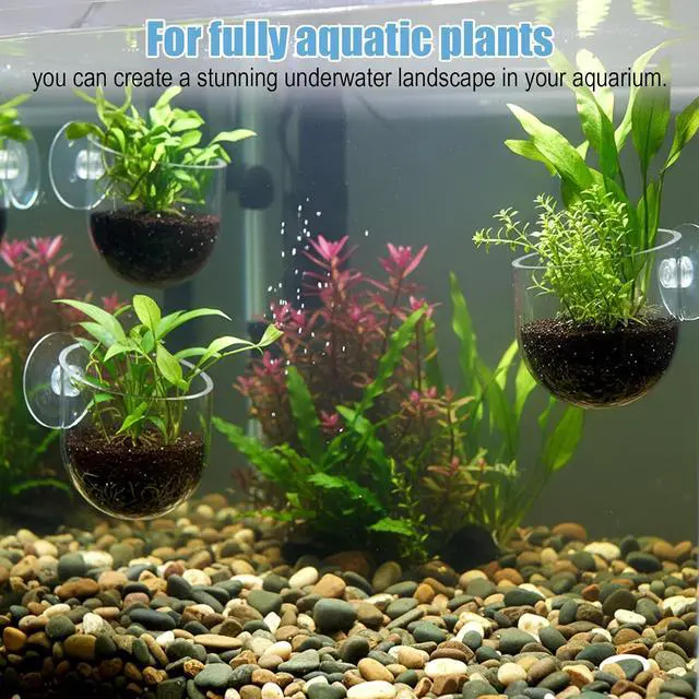 Alt view image 6 of 7 - 3 Pack Clear Fish Tank Plant Holder Aquatic Plant Cups Fishes Tanks Plants Pot Acrylic Aquarium Plants Holder with Suction Cups for Home Aquariums Aquascape Decor, Red Worm Fish Shrimp Feeder