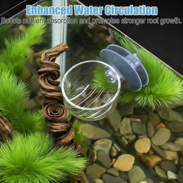 Alt view image 7 of 7 - 3 Pack Clear Fish Tank Plant Holder Aquatic Plant Cups Fishes Tanks Plants Pot Acrylic Aquarium Plants Holder with Suction Cups for Home Aquariums Aquascape Decor, Red Worm Fish Shrimp Feeder