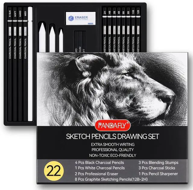 Main image of Drawing Sketching Pencil Set, 22 Piece, Graphite Pencils (12B-2H) | Pro Art Pencil Kit with Black and White Charcoal Pencils, Charcoal Sticks, Stumps, Eraser, Sharpeners, Sketch Set for Artists