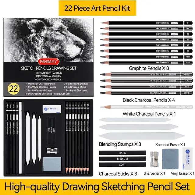 Alt view image 2 of 7 - Drawing Sketching Pencil Set, 22 Piece, Graphite Pencils (12B-2H) | Pro Art Pencil Kit with Black and White Charcoal Pencils, Charcoal Sticks, Stumps, Eraser, Sharpeners, Sketch Set for Artists
