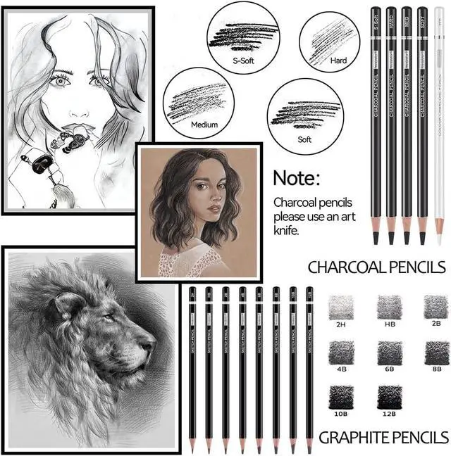Alt view image 3 of 7 - Drawing Sketching Pencil Set, 22 Piece, Graphite Pencils (12B-2H) | Pro Art Pencil Kit with Black and White Charcoal Pencils, Charcoal Sticks, Stumps, Eraser, Sharpeners, Sketch Set for Artists