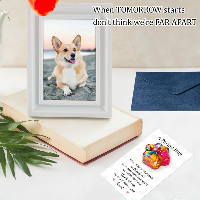 Alt view image 4 of 7 - Loss Of Pet Sympathy Gift - Colorful Glitter Mini Paw Pocket Hug with Memorial Card Envelope Remembrance Bereavement Gift Loss of Dog Cat Sympathy Favor for Pet Lover Adult Stress Relief Toy