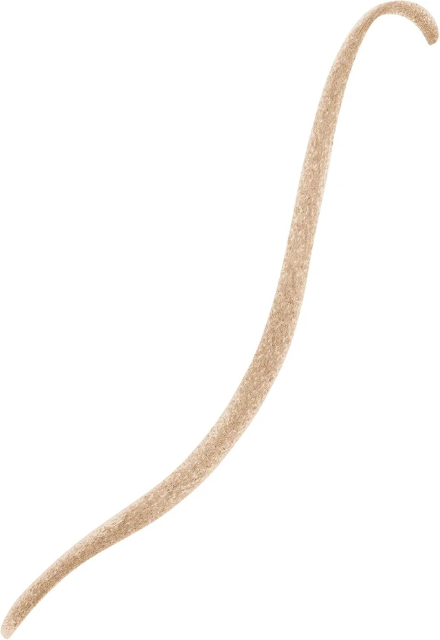 Alt view image 2 of 7 - Revlon ColorStay Brow Pencil, 205 Blonde, 0.021 oz | Waterproof eyebrow pencil with a built-in spoolie brush. No smudging, no fading, with up to 24 hours of wear.