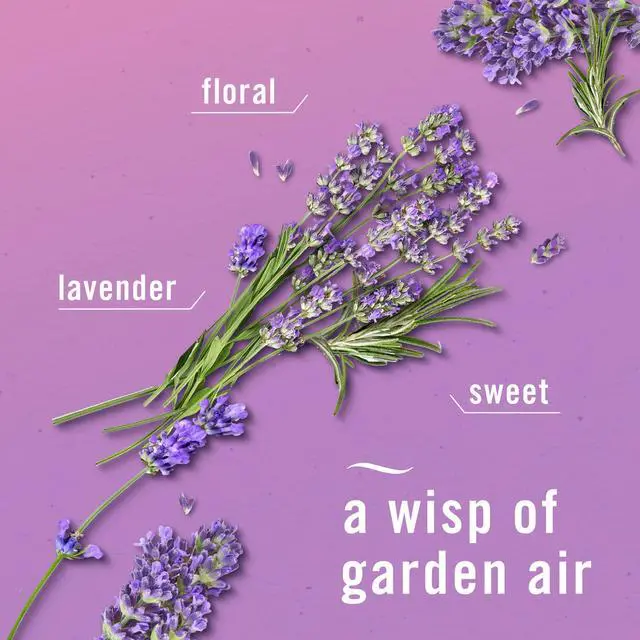 Alt view image 5 of 5 - Air Mist Air Freshener Spray Twilight Lavender Scent 8.1oz, Natural Propellant, Long-Lasting Room Fragrance