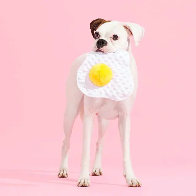 Alt view image 4 of 6 - BARK Box Puppy Side Up Egg Plush Toy, Crinkle Sound Effect with Inner Squeaky Ball, Interactive Chew Toy for Small & Medium Canines
