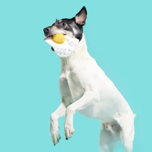 Alt view image 2 of 6 - BARK Box Puppy Side Up Egg Plush Toy, Crinkle Sound Effect with Inner Squeaky Ball, Interactive Chew Toy for Small & Medium Canines