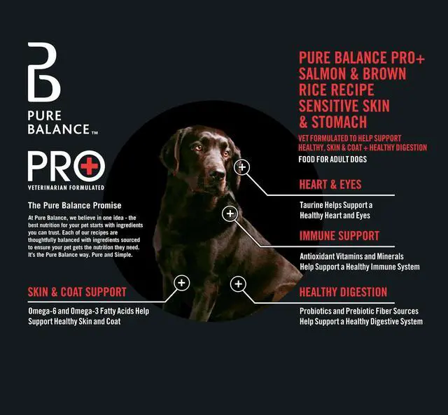 Alt view image 4 of 7 - Pure Balance Pro+ Sensitive Skin & Stomach Dry Dog Food, Salmon & Rice Recipe, 8lb Bag, VetFormulated With Probiotics & Prebiotic Fiber
