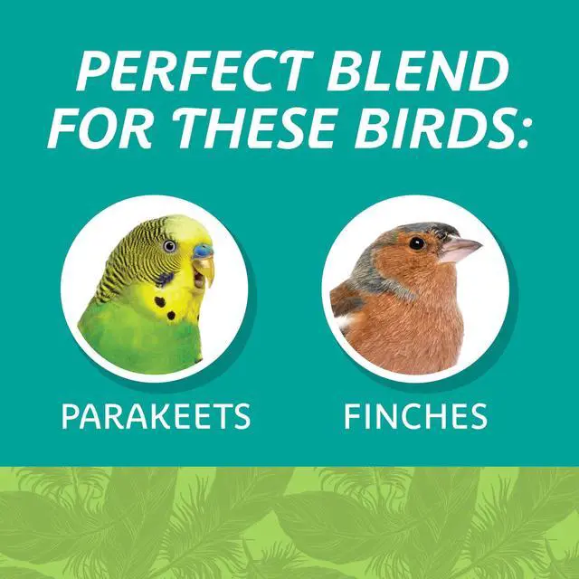 Alt view image 5 of 7 - Pennington 3Lb Everyday Blend Small Bird Seed Mix, Vitamin A & Omega6 Fatty Acids for Parakeet, Canary and Finch Daily Nutrition