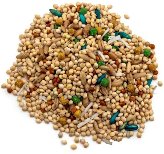 Alt view image 3 of 7 - Pennington 3Lb Everyday Blend Small Bird Seed Mix, Vitamin A & Omega6 Fatty Acids for Parakeet, Canary and Finch Daily Nutrition