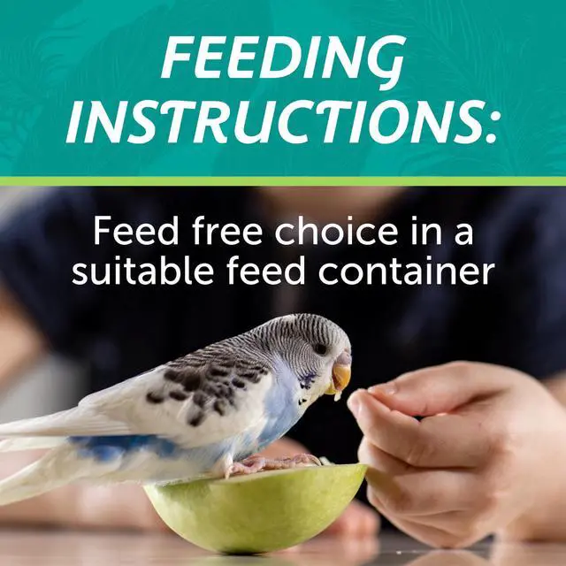 Alt view image 2 of 7 - Pennington 3Lb Everyday Blend Small Bird Seed Mix, Vitamin A & Omega6 Fatty Acids for Parakeet, Canary and Finch Daily Nutrition