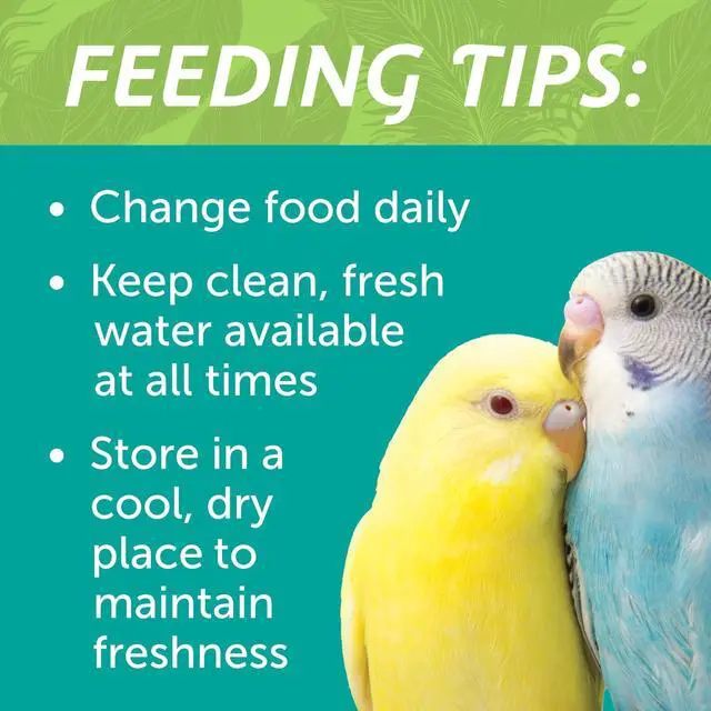 Alt view image 7 of 7 - Pennington 3Lb Everyday Blend Small Bird Seed Mix, Vitamin A & Omega6 Fatty Acids for Parakeet, Canary and Finch Daily Nutrition