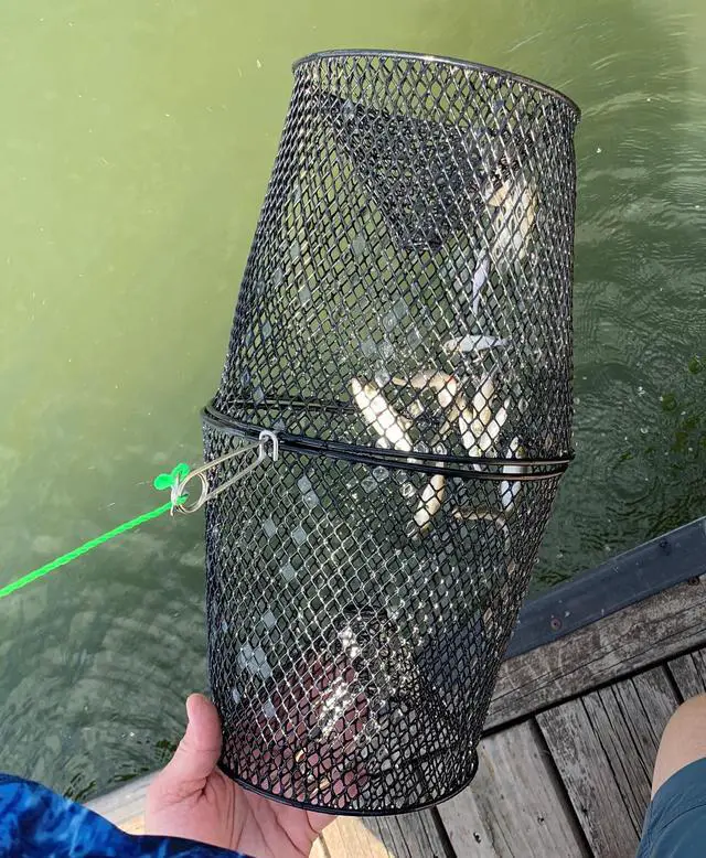 Alt view image 5 of 6 - Frabill Torpedo Minnow Trap, Mesh, Black