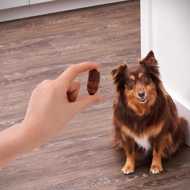 Alt view image 2 of 7 - Golden Rewards Air- Dried Jerky Treats Pigs in a Blanket for Dogs, 16 oz