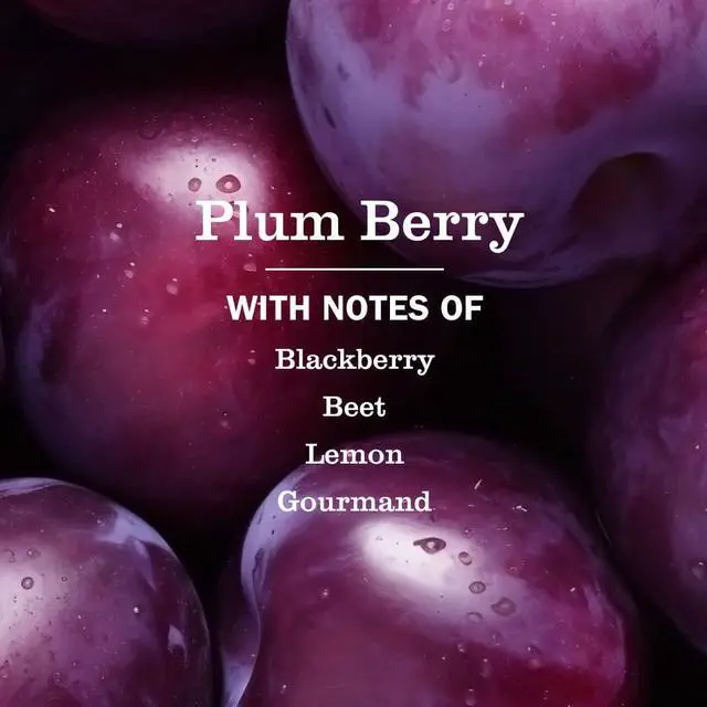 Alt view image 2 of 7 - Mrs. Meyer's Clean Day Plum Berry Hand Soap, 12.5 Fl Oz