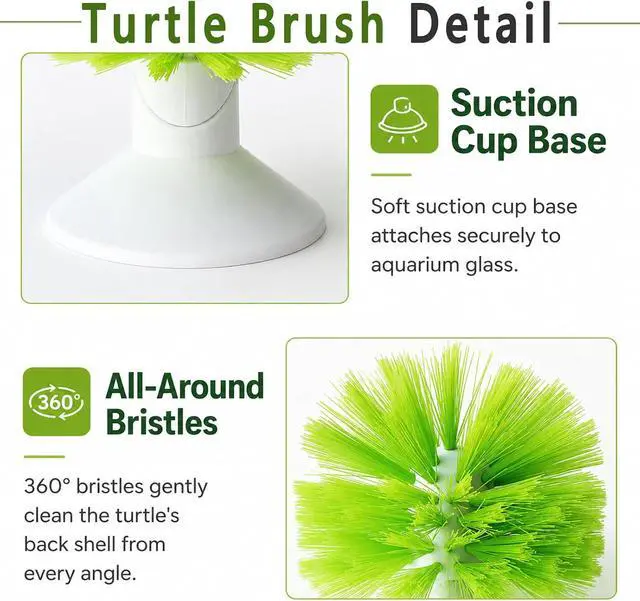 Alt view image 3 of 6 - Turtle Scrub Brush, Turtle Scratches Back Brush Turtle Shell Clean Brush with Suction Cup Turtle Exfoliate Brush Tank Tortoise Brush for Remove Turtle Shell Scutes Mud Dirt