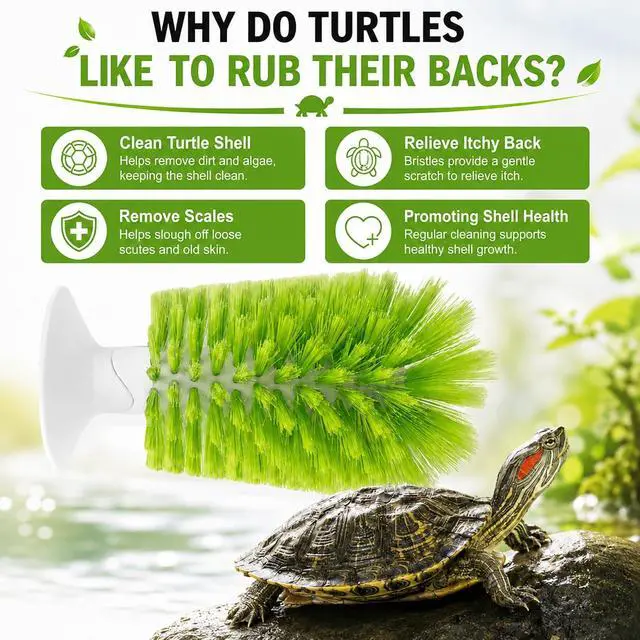 Alt view image 4 of 6 - Turtle Scrub Brush, Turtle Scratches Back Brush Turtle Shell Clean Brush with Suction Cup Turtle Exfoliate Brush Tank Tortoise Brush for Remove Turtle Shell Scutes Mud Dirt