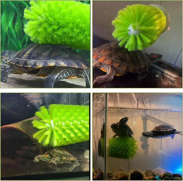 Alt view image 6 of 6 - Turtle Scrub Brush, Turtle Scratches Back Brush Turtle Shell Clean Brush with Suction Cup Turtle Exfoliate Brush Tank Tortoise Brush for Remove Turtle Shell Scutes Mud Dirt