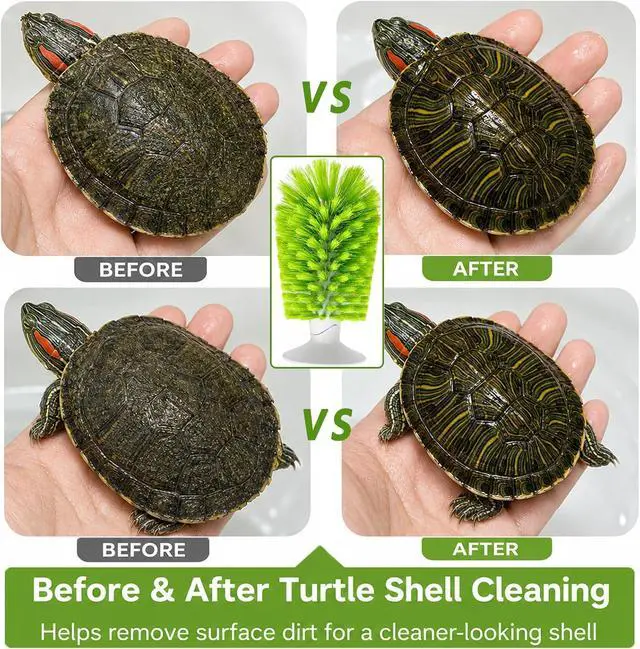 Alt view image 5 of 6 - Turtle Scrub Brush, Turtle Scratches Back Brush Turtle Shell Clean Brush with Suction Cup Turtle Exfoliate Brush Tank Tortoise Brush for Remove Turtle Shell Scutes Mud Dirt