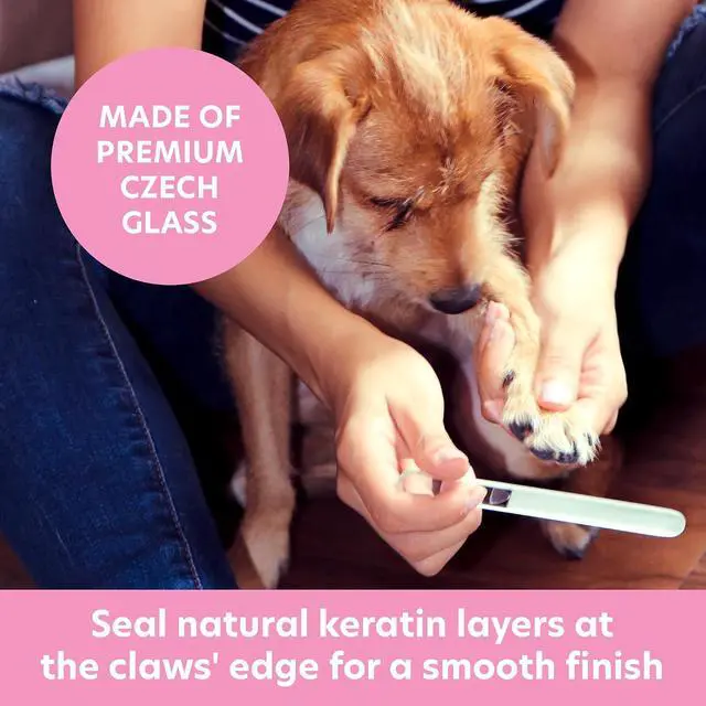 Alt view image 2 of 7 - Bona Fide Beauty Pet Nail File for Small Pets (Paw Print Design) | Genuine Gzech glass, silent nail file, curved groove to smooth pet claws