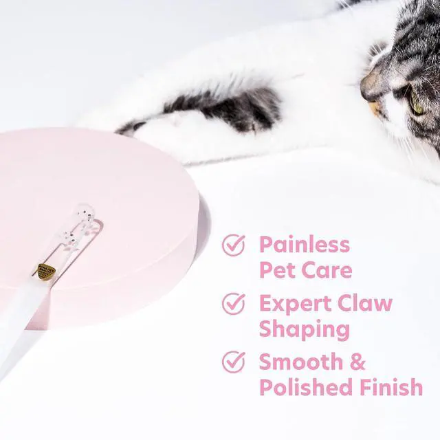 Alt view image 3 of 7 - Bona Fide Beauty Pet Nail File for Small Pets (Paw Print Design) | Genuine Gzech glass, silent nail file, curved groove to smooth pet claws