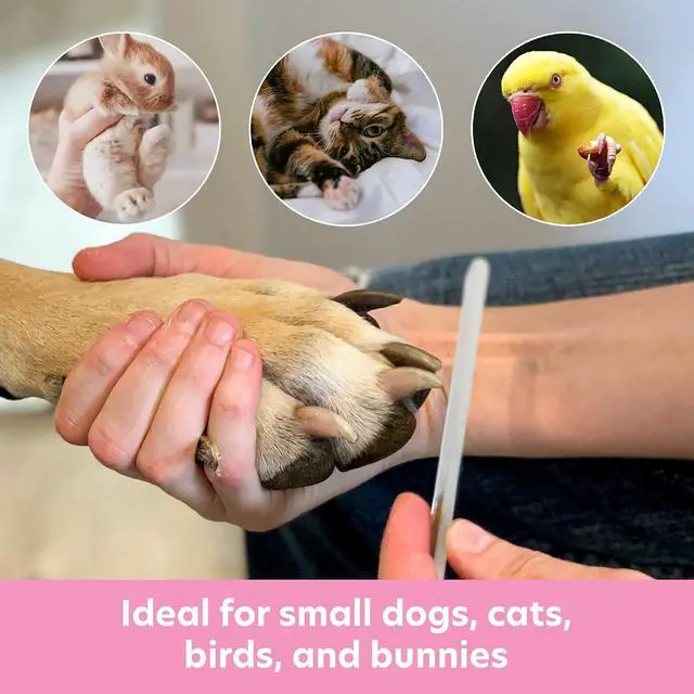 Alt view image 6 of 7 - Bona Fide Beauty Pet Nail File for Small Pets (Paw Print Design) | Genuine Gzech glass, silent nail file, curved groove to smooth pet claws
