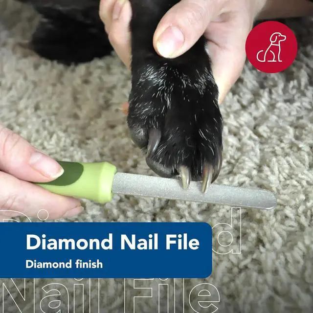 Alt view image 3 of 7 - Coastal Pet Safari Dog Diamond Nail File - Diamond Finish for Smooth Nails - Removes Burs from Outdoor & Indoor Dogs - One Size