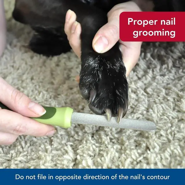 Alt view image 7 of 7 - Coastal Pet Safari Dog Diamond Nail File - Diamond Finish for Smooth Nails - Removes Burs from Outdoor & Indoor Dogs - One Size