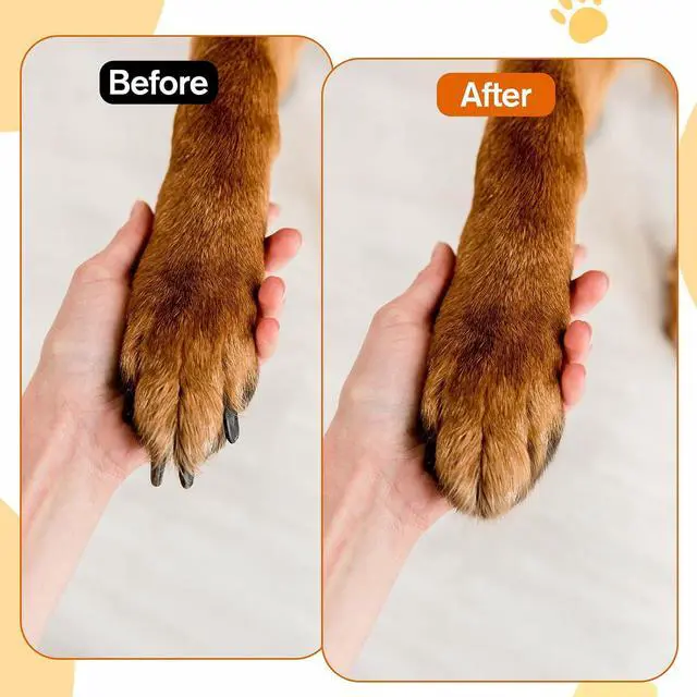 Alt view image 3 of 7 - Dog Nail File with Replaceable Filing Disc Dog Nail File Scratch Board Replaceable Sandpaper Stress Free Nails Filing Dogs Trainning Accessories for Smooth and Healthy Nails