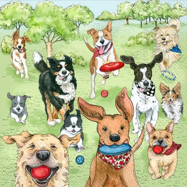 Main image of Boston International IHR 3-Ply Paper Napkins Everyday Designs, 20-Count Cocktail Size, Dog Park Runners