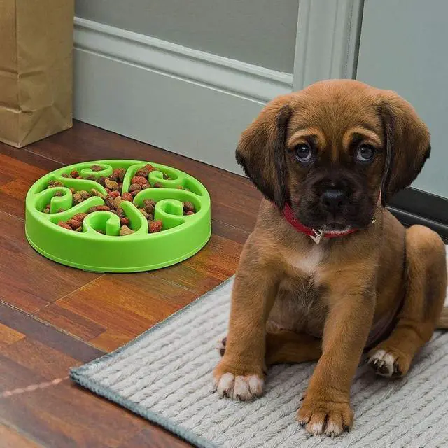 Alt view image 5 of 7 - Slow Feeder Dog Bowl Anti-Choking Help Prevent Bloat Non Toxic BPA Free Feeding Dish SH-10303, Green