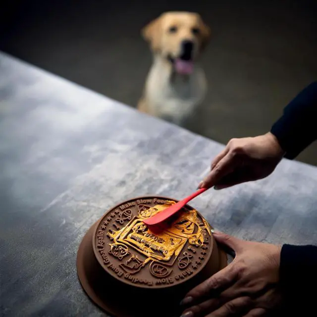 Alt view image 5 of 6 - Dog Slow Feeder Brown Bowl Dog'nald Trump Design - 2026 Edition - Premium Food Grade Silicone - Interactive Slow Feeder & Lick Mat - Dishwasher Safe - Anti-Slip - Fun & Engaging Design for Dogs