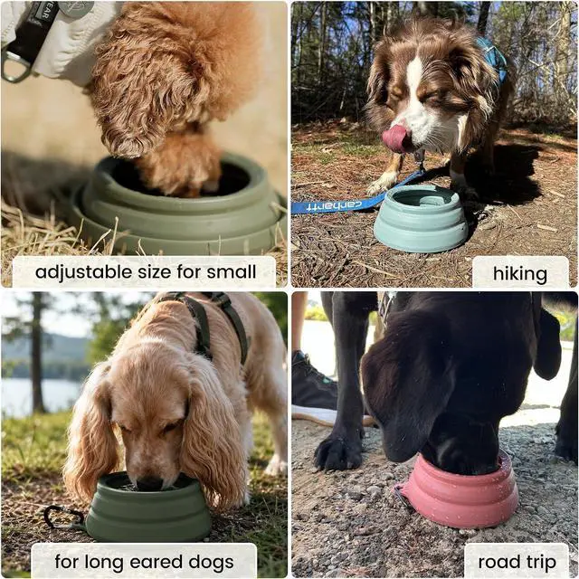 Alt view image 4 of 7 - OHMO Spill Proof Collapsible Dog Bowl, 24oz Portable Dog Water Bowl | Low Center Gravity Stability, Tapered Splash Control, Foldable Cat Bowl, Dishwasher Safe, Dog Travel Essential, Light Blue